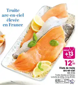 Croque Gel Filets de truite arc-en-ciel offre