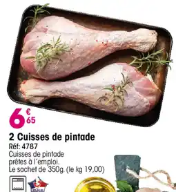 Croque Gel Cuisse de pintade offre