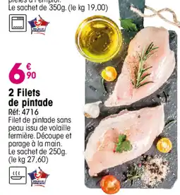 Croque Gel 2 Filets de pintade offre