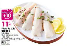 Croque Gel Filets de sole tropicale offre