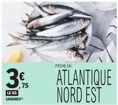 E.Leclerc Sardines offre