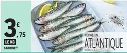 E.Leclerc Sardine offre