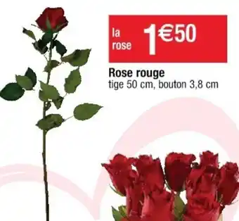Cora x Carrefour Rose Rouge offre