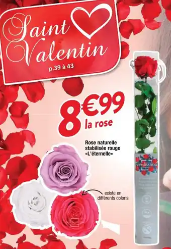Cora x Carrefour Rose Naturelle Stabilisée Rose offre