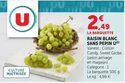 Bi1 RAISIN BLANC SANS PEPIN U offre