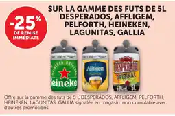 Bi1 Heineken lagunitas,gallia offre