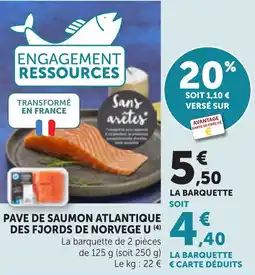 Bi1 U Pave de saumon atlantique offre