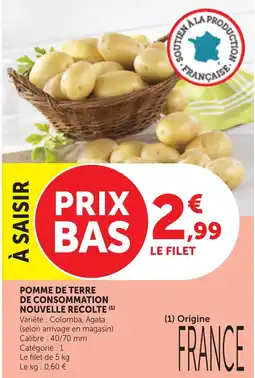 Bi1 POMME DE TERRE offre