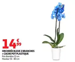 Auchan Supermarché ORCHIDÉE BLEUE 2 BRANCHES offre