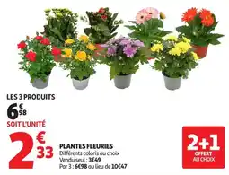 Auchan Supermarché PLANTES FLEURIES offre