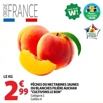 CULTIVONS LE BON PÊCHES OU NECTARINES JAUNES OU BLANCHES
