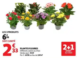Auchan Supermarché PLANTES FLEURIES offre