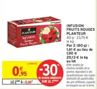 PLANTEUR INFUSION FRUITS ROUGES