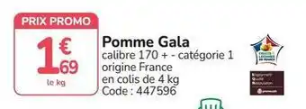 Promo - pomme gala