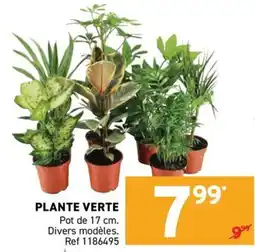 Trafic PLANTE VERTE offre