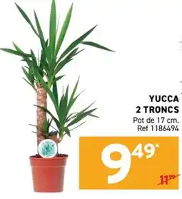 Trafic YUCCA offre