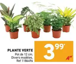 Trafic PLANTE VERTE offre