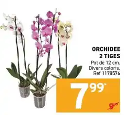 Trafic ORCHIDEE offre