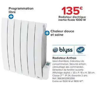 Castorama Radiateur anthao offre