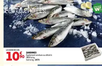 SARDINES