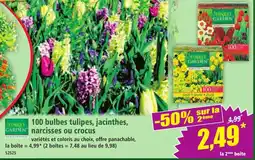 Norma FINEST GARDEN 100 bulbes tulipes, jacinthes, narcisses ou crocus offre