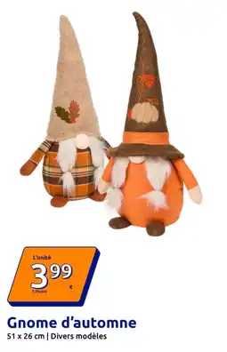 Action Gnome d'automne offre
