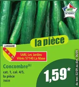 Norma Concombre(b) offre