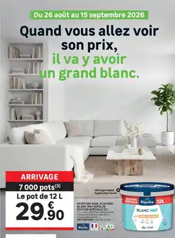 Leroy Merlin Ripolin Peinture mur, plafond Blanc mat offre