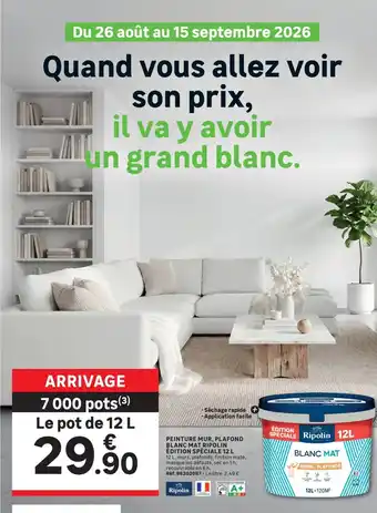 Ripolin Peinture mur, plafond Blanc mat