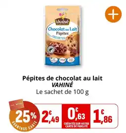Coccinelle Supermarché VAHINÉ Pépites de chocolat au lait offre