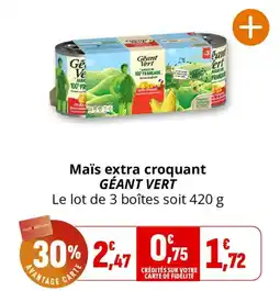 Coccinelle Supermarché Géant Vert Maïs extra croquant offre