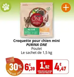 Coccinelle Supermarché PURINA ONE Croquette pour chien mini Poulet offre