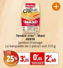 Coccinelle Supermarché Herta Tendre croc' offre