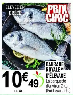 marché frais Géant DAURADE ROYALE D'ÉLEVAGE offre