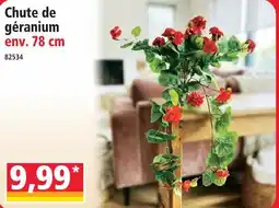 Norma Chute de géranium offre