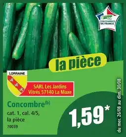 Norma Concombre offre