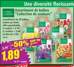 Norma Finest garden assortiment de bulbes collection de couleurs offre