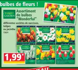Norma Finest garden assortiment de bulbes wonderful offre