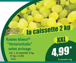 Norma Raisins blancs victoria offre