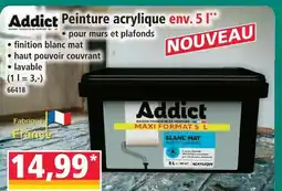 Norma Addict peinture acrylique env. 5 l offre