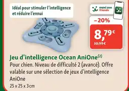 Maxi Zoo Anione jeu d'intelligence ocean offre