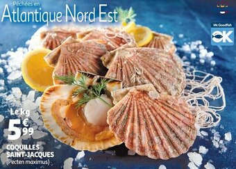 Auchan Coquilles saint-jacques offre