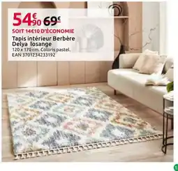 Mr Bricolage Berbère Delya losange offre