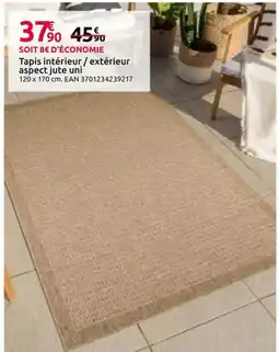 Mr Bricolage Tapis intérieur / extérieur offre