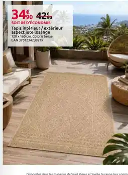 Mr Bricolage Tapis intérieur / extérieur offre