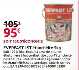Mr Bricolage EVERFAST LST étanchéité offre