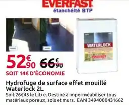 Mr Bricolage EVERFAST Hydrofuge de surface effet mouillé offre