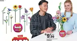 Möbel Martin Capsule collection flowers offre
