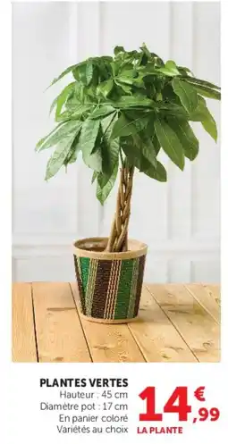 Super U LA PLANTE offre