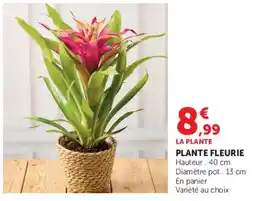 Super U LA PLANTE offre